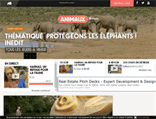 Tablet Screenshot of animauxtv.fr
